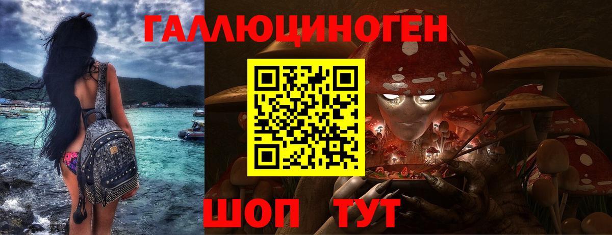 Галлюциногенные грибы Psilocybe  Вход с VPN  даркнет сайт  Новодвинск 