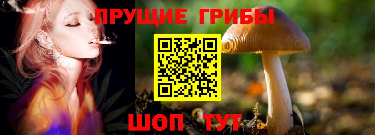 Галлюциногенные грибы MAGIC MUSHROOMS Новодвинск